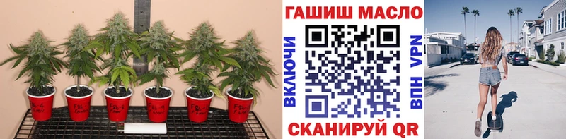 ТГК концентрат  shop официальный сайт  Мышкин 