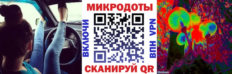 OMG ССЫЛКА  Мышкин  Псилоцибиновые грибы мицелий 